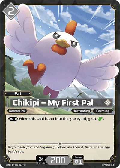 Chikipi – My First Pal